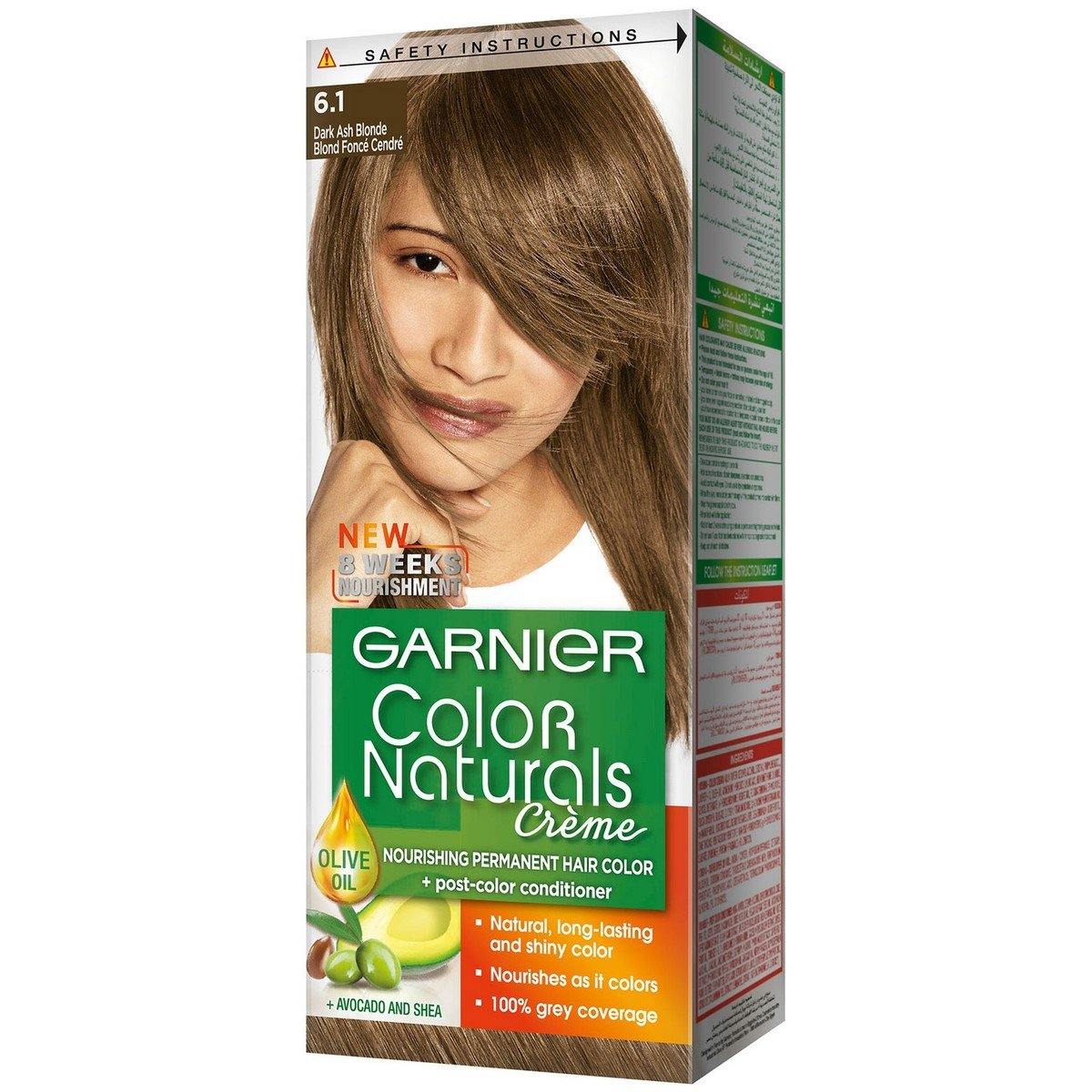 Garnier Hair Color Naturals  #  6.1 Dark Ash Blonde 