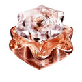 Montblanc Emblem Elixir Lady EDP 75ml