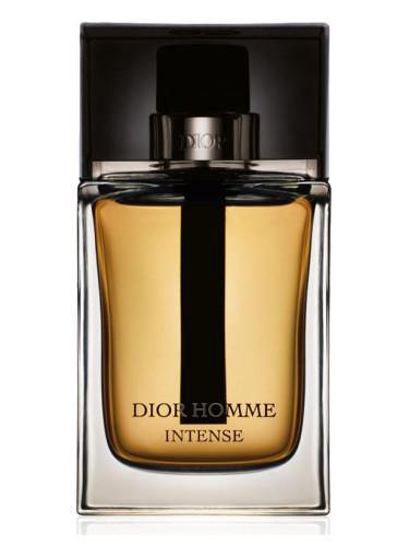 Christian Dior Homme Intense EDP 100ml (Men)`